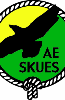 Activitats d'Skues